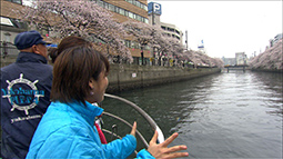 stun_130407_8.jpg