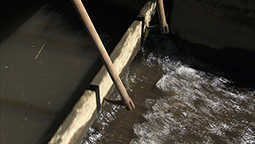 用水路の水を堰き止める板