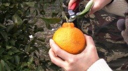 syu140303_18.jpg
