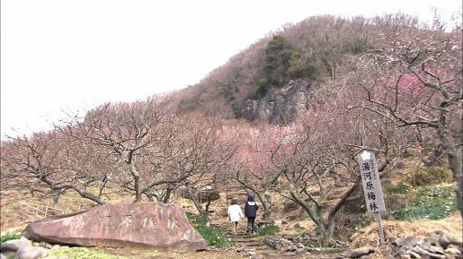 syu140303_5.jpg