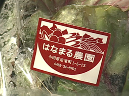 syun_110109_8.jpg