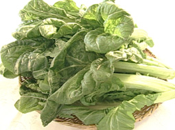 syun_110130_1.jpg