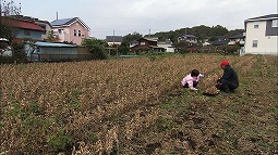 syun_121125_2.jpg