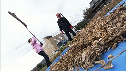 syun_121125_4.jpg