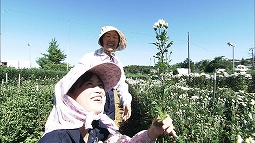 syun_130915_4.jpg