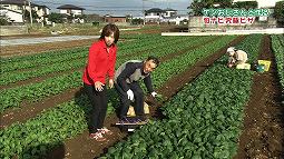 syun_131110_13.jpg