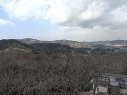 syun_20110327_2.jpg