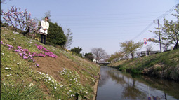 syun_20110410_1.jpg