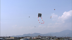 syun_20110410_9.jpg