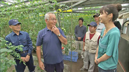 syun_20110626_2.jpg
