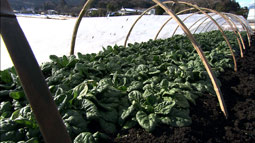syun_20120205_6.jpg