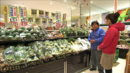 syun_20120325_7.jpg
