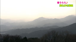 syun_20120422_20.jpg