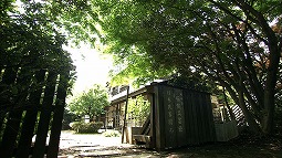 syun_20120610_9.jpg