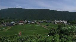 syun_20120805_1.jpg