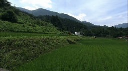 syun_20120805_2.jpg