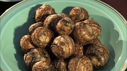 yun_20121014_23.jpg