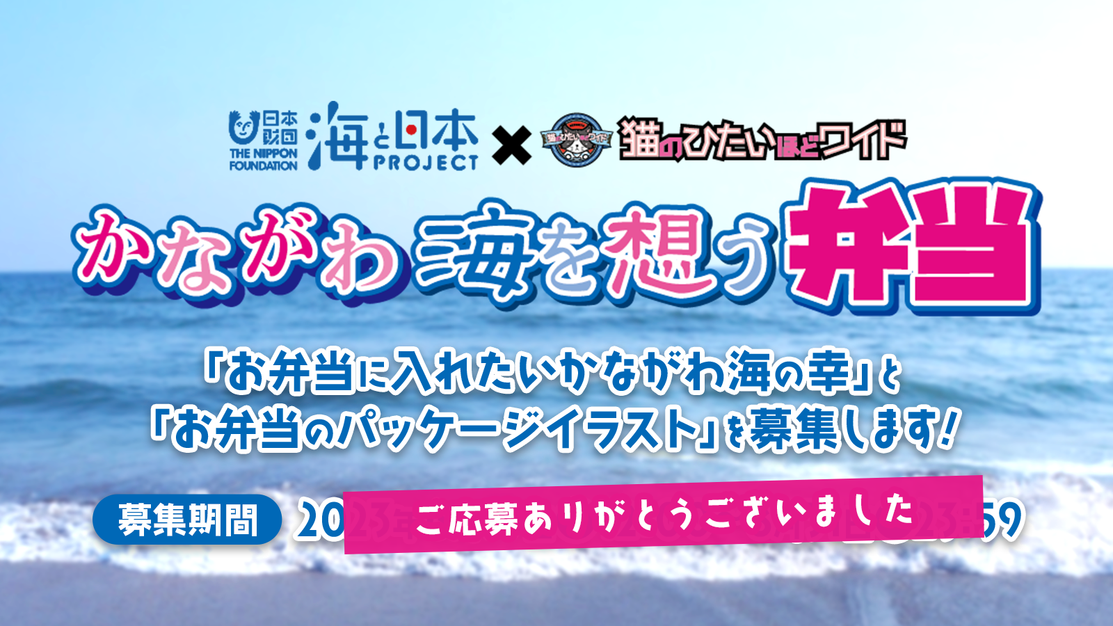 海プロ✕猫ひた コラボ『かながわ海を想う弁当』