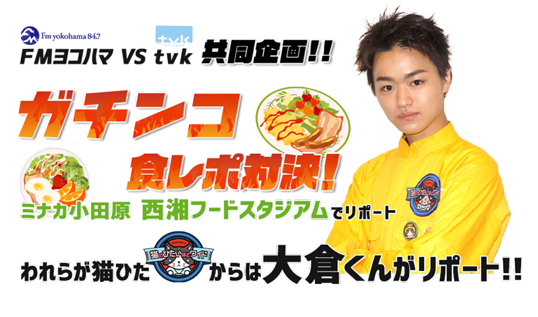 猫のひたいほどワイド デジタル3ch テレビ神奈川