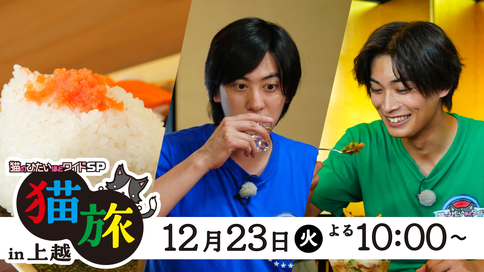 「猫のひたいほどワイドSP」猫旅 in 上越 ～上越アニバーサリーイヤー2025年の軌跡～