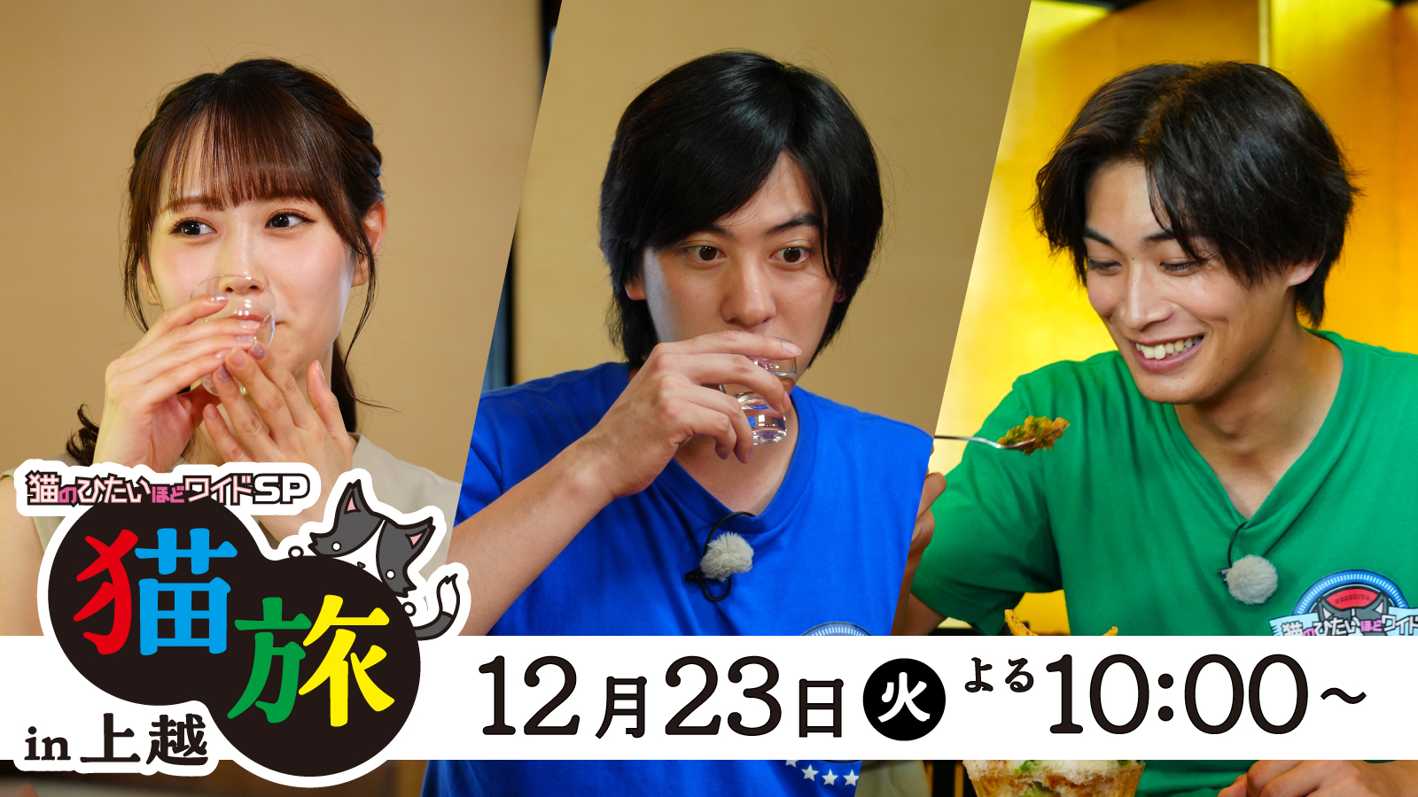 「猫のひたいほどワイドSP」猫旅 in 上越 ～上越アニバーサリーイヤー2025年の軌跡～