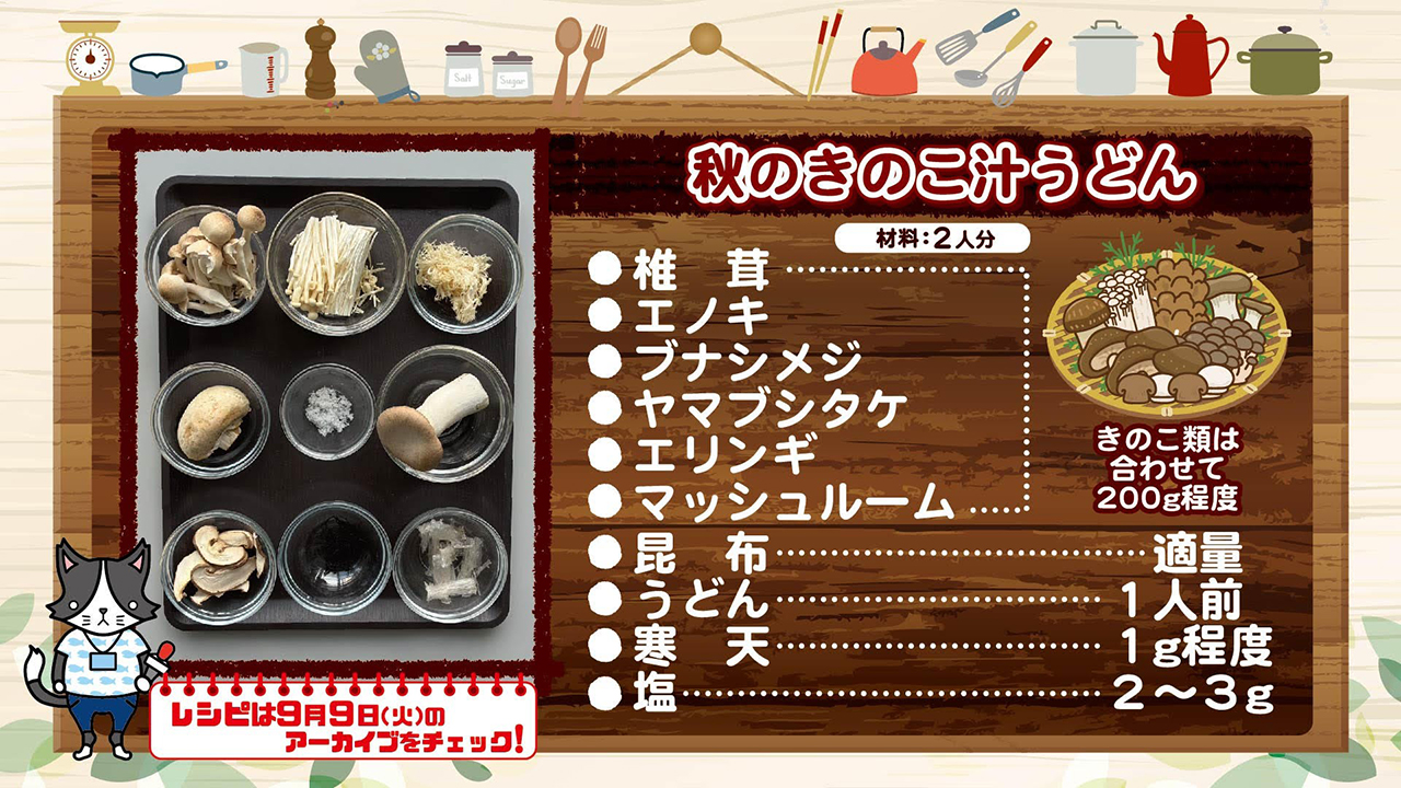 材料