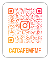 猫カフェmfmf