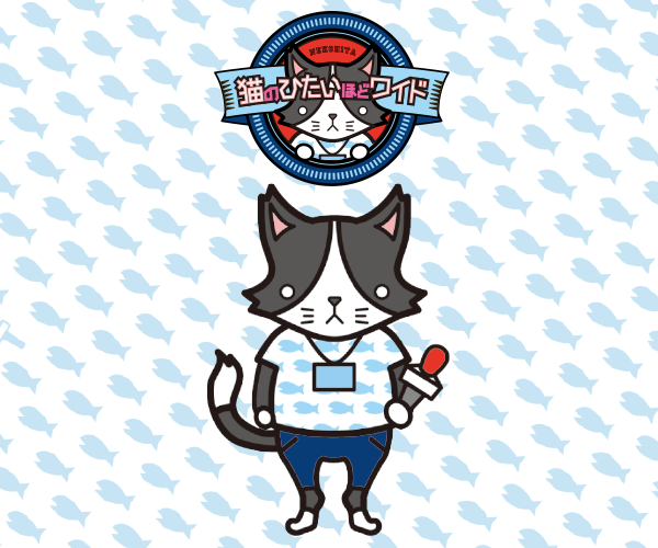 猫のひたいほどワイド