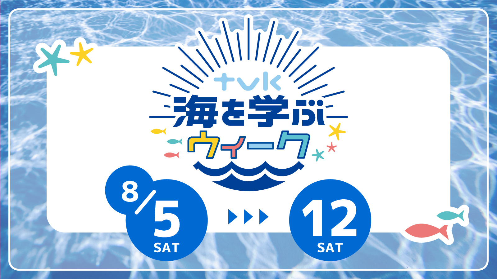 tvkの人気3番組が”海にどっぷり”8/5（土）～8/12（土）で開催決定！「tvk 海を学ぶウィーク」